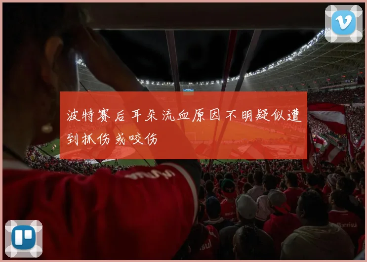 波特赛后耳朵流血原因不明疑似遭到抓伤或咬伤